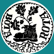 Bota Rota